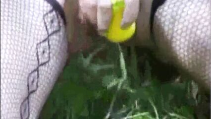 Русская девка в лесу трахнула себя бананом и обоссалась