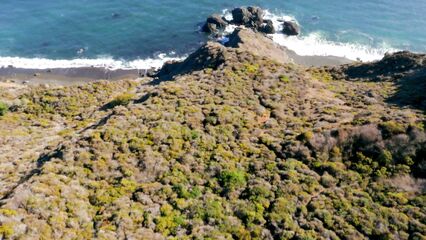 С помощью беспилотника сняли порнофильм Drone Boning