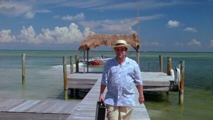 Дикость 4: Оргия | Wild Things: Foursome (2010)