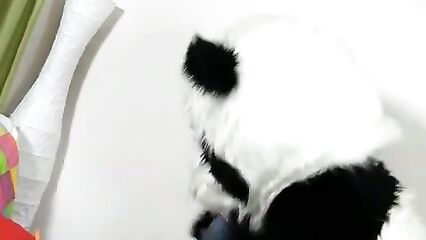 Горячая брюнетка забавляется с пандой