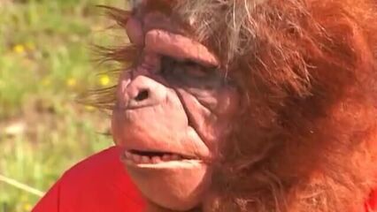 Планета обезьян | Planet of the Babes (2001) порно кино